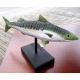 Poisson bois maquereau